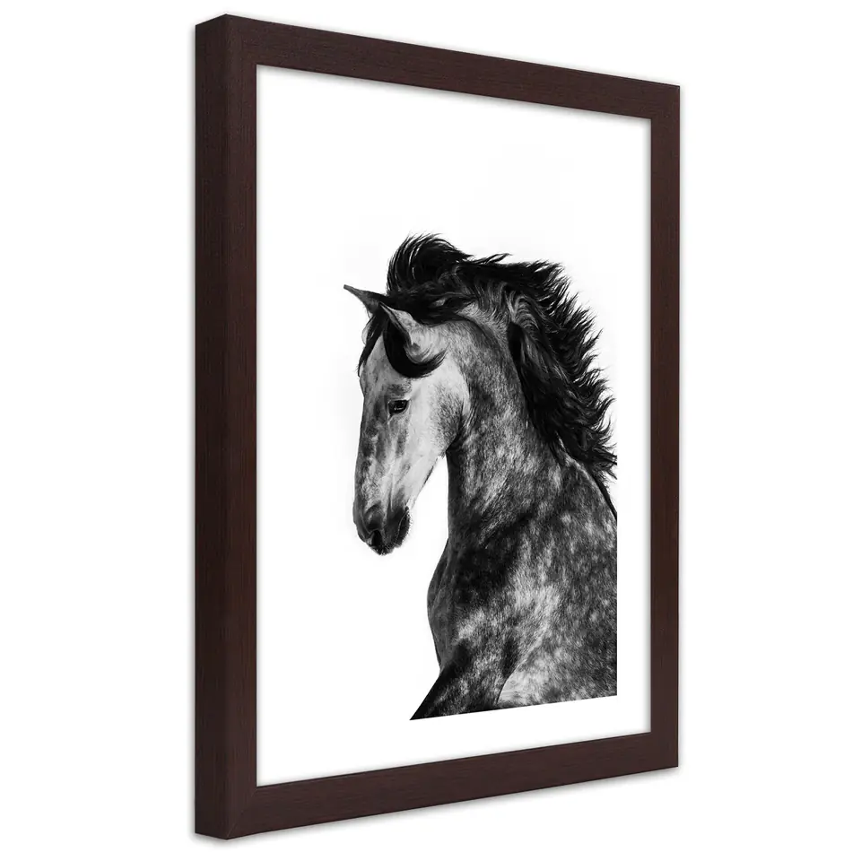 ⁨Poster in brown frame, Wild steed (Size 20x30)⁩ at Wasserman.eu