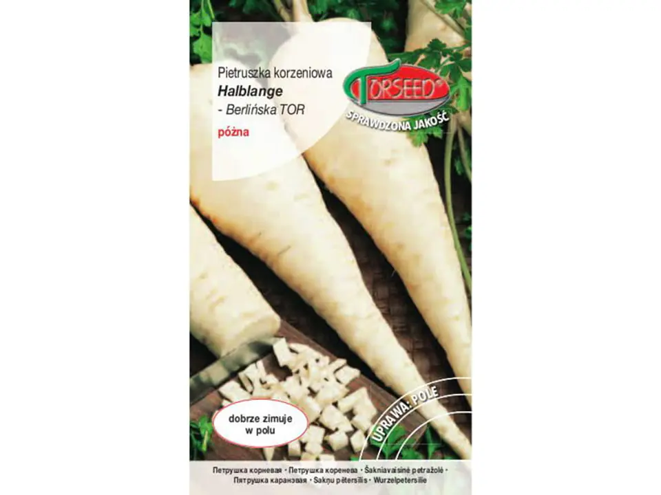 Root parsley seeds Halblange Berlin TOR Torseed 5g at Wasserman.eu