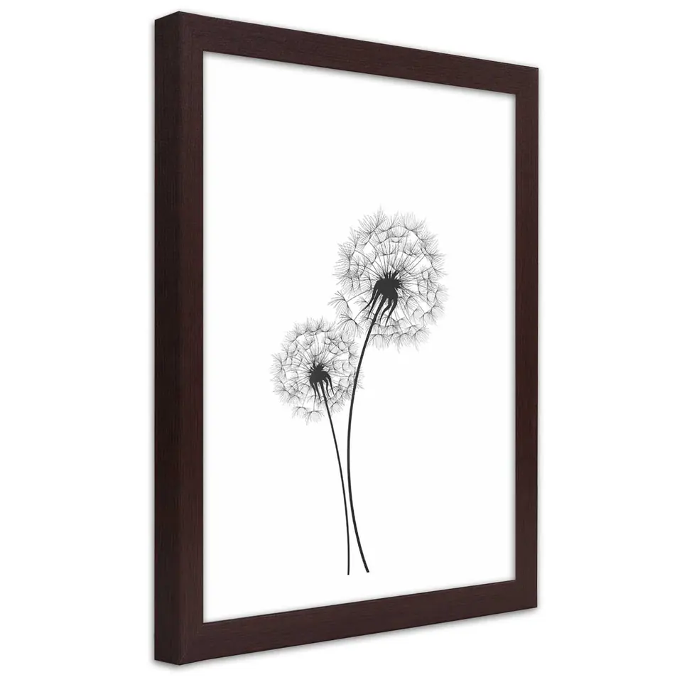 ⁨Poster in brown frame, Two dandelions drawn (Size 60x90)⁩ at Wasserman.eu
