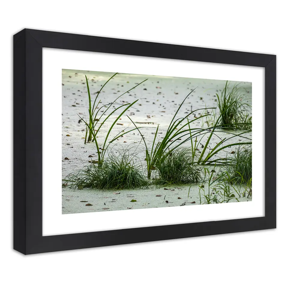 ⁨Obraz w ramie, Trawy na plaży (Rozmiar 100x70)⁩ w sklepie Wasserman.eu