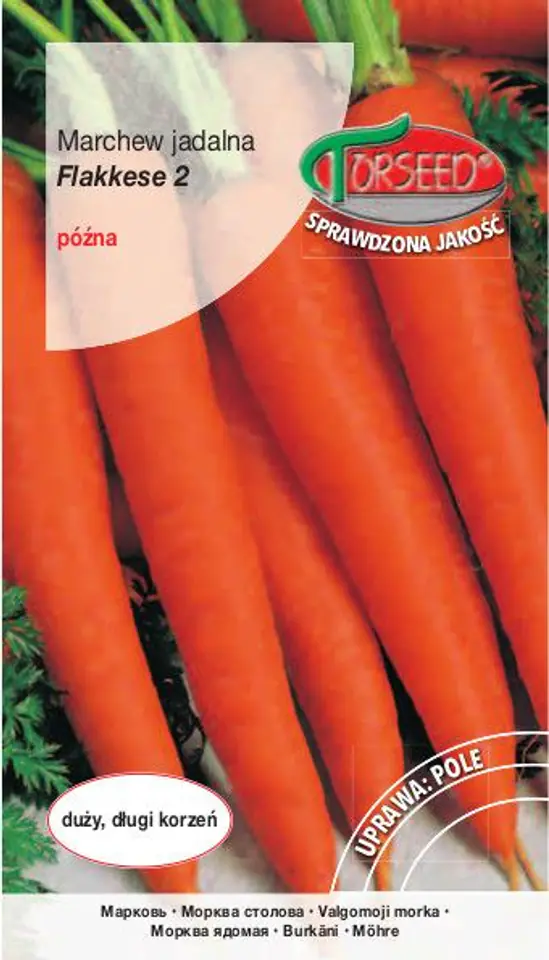 ⁨Carrot Seeds Flakkese 2 - Flacoro POL Torseed 5g⁩ at Wasserman.eu