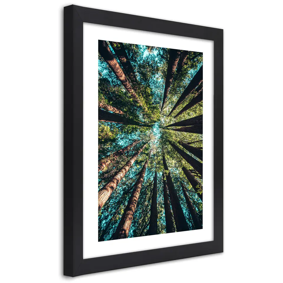 ⁨Poster in black frame, Branches of tall trees (Size 40x60)⁩ at Wasserman.eu