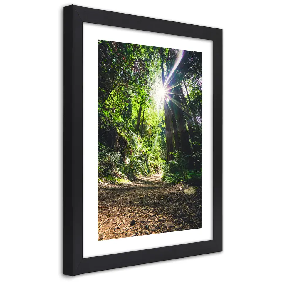 ⁨Black Frame Poster, Path in Dense Forest (Size 70x100)⁩ at Wasserman.eu