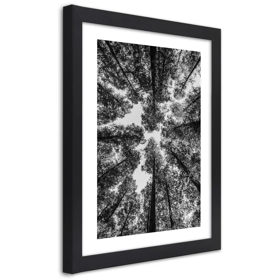 ⁨Poster in black frame, Crowns of trees (Size 20x30)⁩ at Wasserman.eu