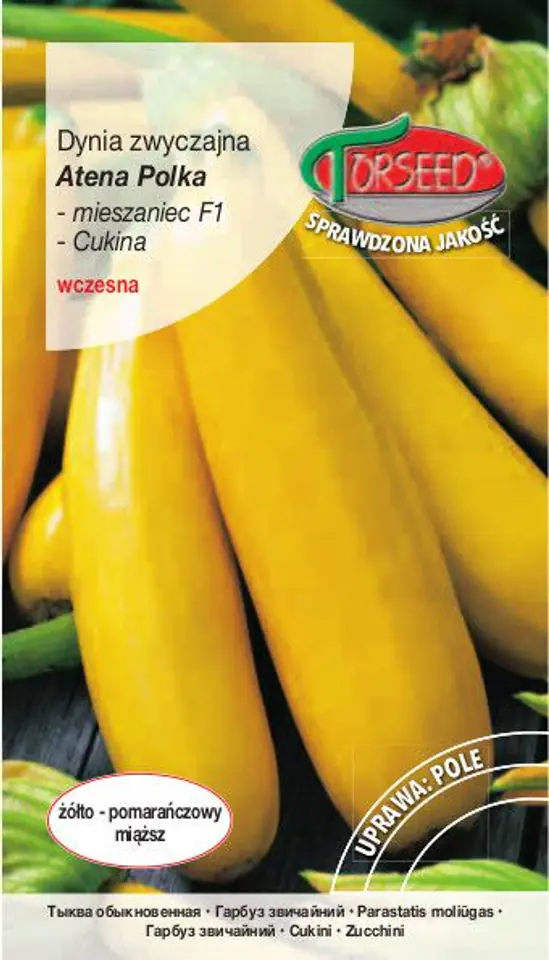 Pumpkin seeds - Zucchini Atena Polka F1-yellow Torseed 2g at Wasserman.eu