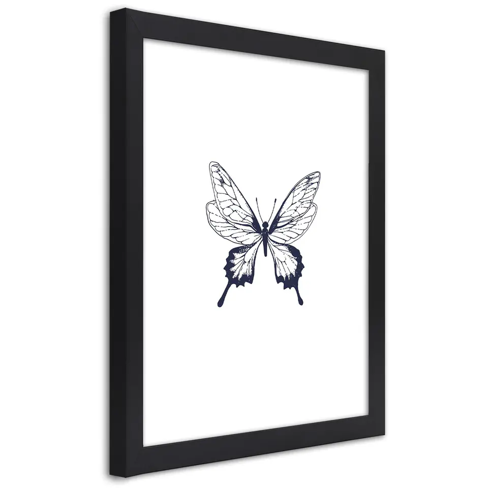 ⁨Obraz w ramie, Narysowany motyl (Rozmiar 40x60)⁩ w sklepie Wasserman.eu