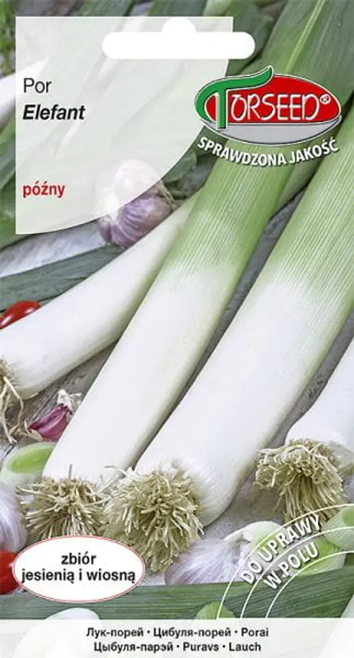 Leek seeds Elefant Torseed 1g at Wasserman.eu