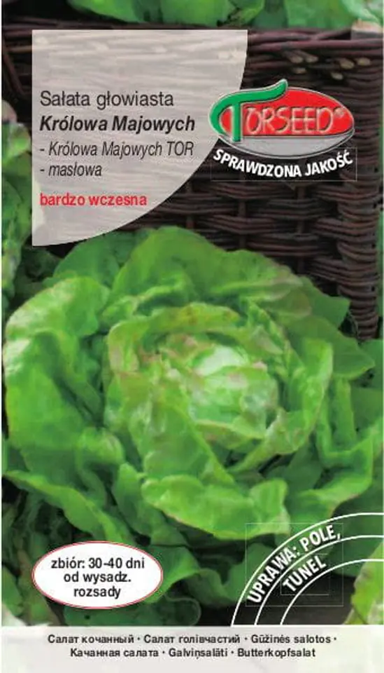 ⁨Seeds Butter lettuce Królowa Majowych Torseed 2g⁩ at Wasserman.eu