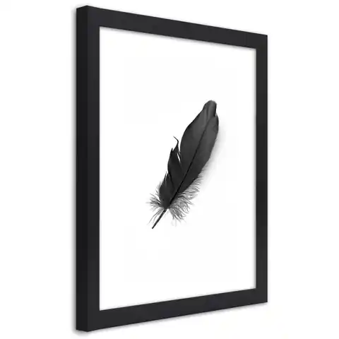 ⁨Black Frame Poster, Black Feather (Size 20x30)⁩ at Wasserman.eu