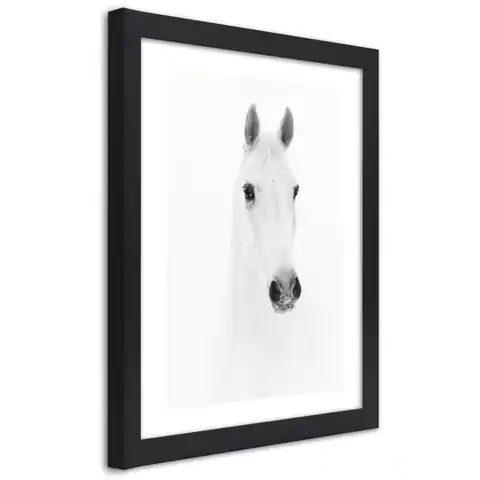 ⁨Obraz w ramie, Siwy koń (Rozmiar 30x45)⁩ w sklepie Wasserman.eu