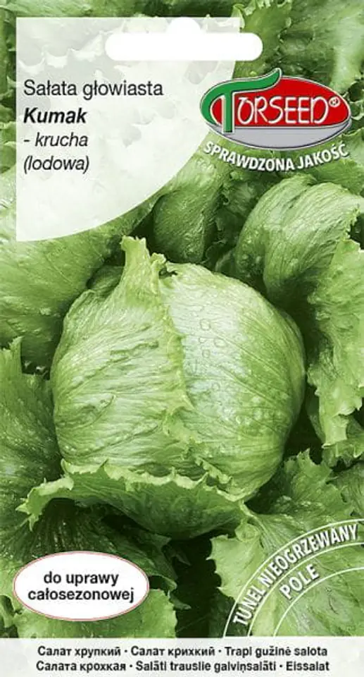 Seeds Crunchy iceberg lettuce Kumak Torseed 0.5g at Wasserman.eu