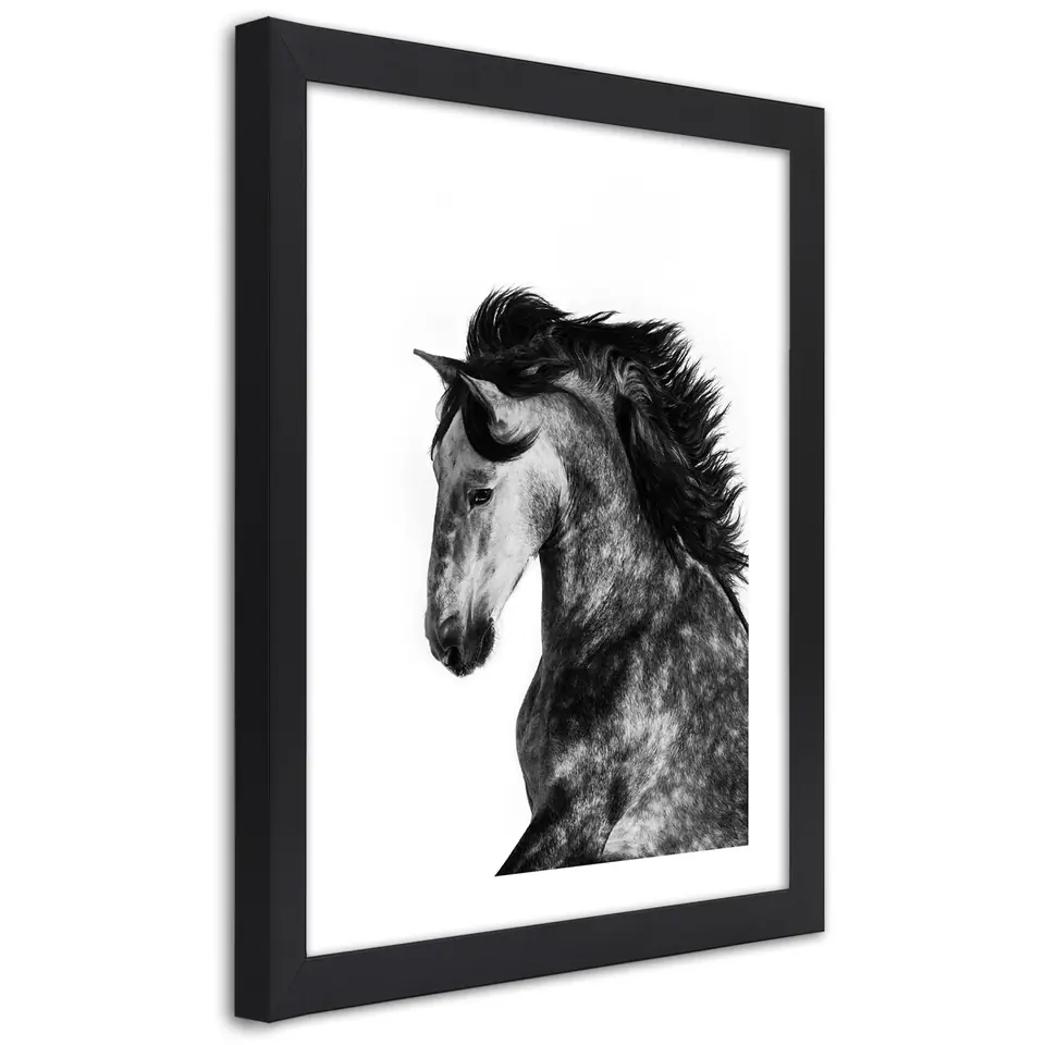 ⁨Poster in black frame, Wild steed (Size 40x60)⁩ at Wasserman.eu