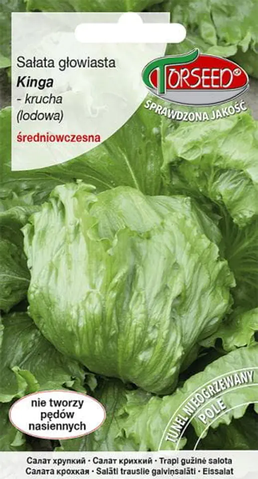 ⁨Seeds Kinga head lettuce crispy ice cream Torseed 0.5g⁩ at Wasserman.eu