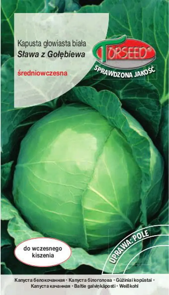 ⁨Seeds Head cabbage Sława z Gołębiewa Torseed 2g⁩ at Wasserman.eu