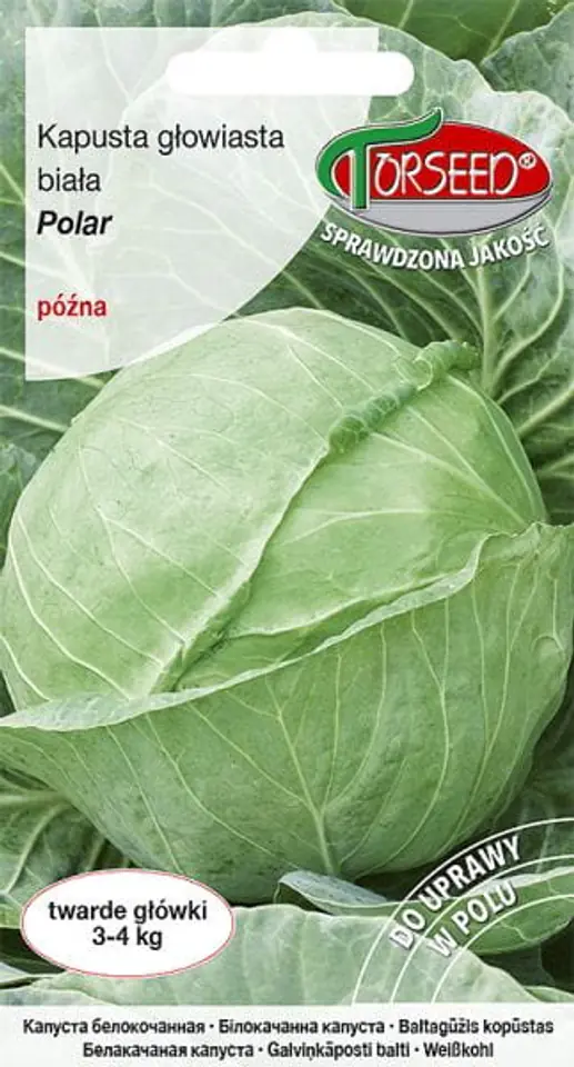 ⁨Seeds White cabbage Polar Torseed 2g⁩ at Wasserman.eu