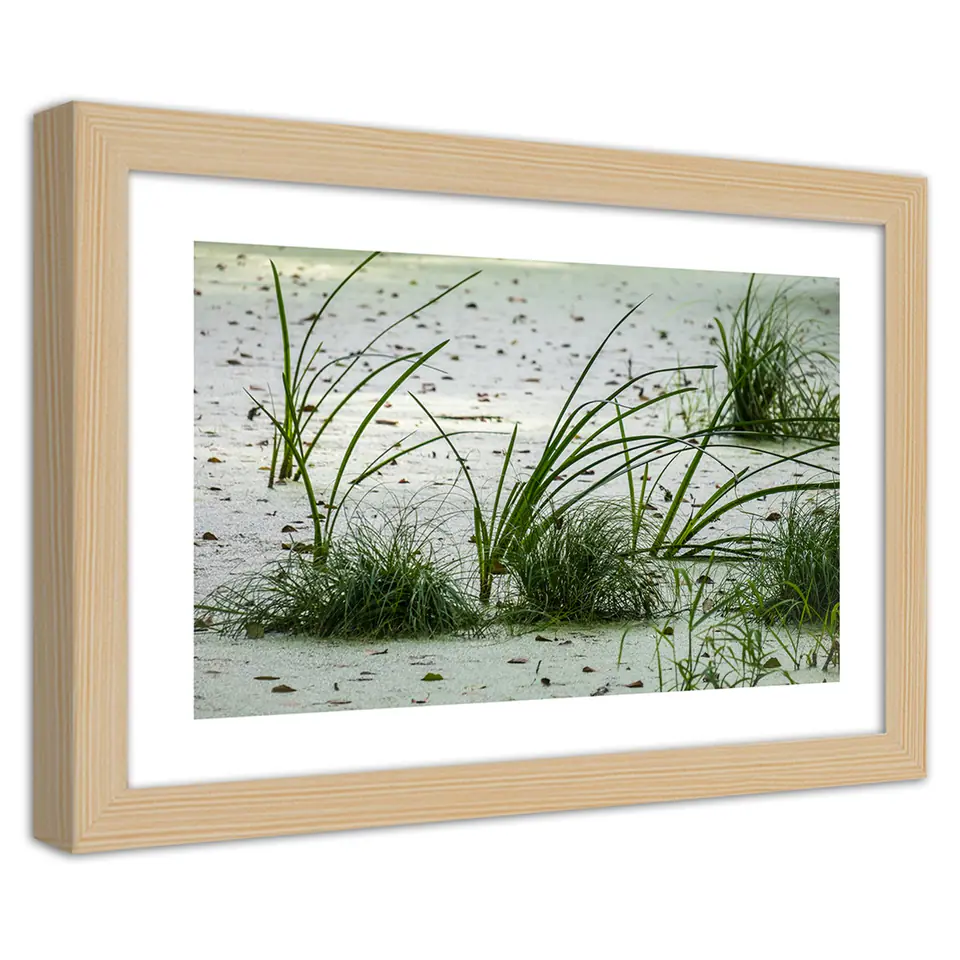 ⁨Obraz w ramie, Trawy na plaży (Rozmiar 90x60)⁩ w sklepie Wasserman.eu