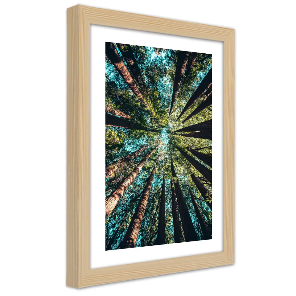 ⁨Natural Frame Poster, Branches of Tall Trees (Size 40x60)⁩ at Wasserman.eu