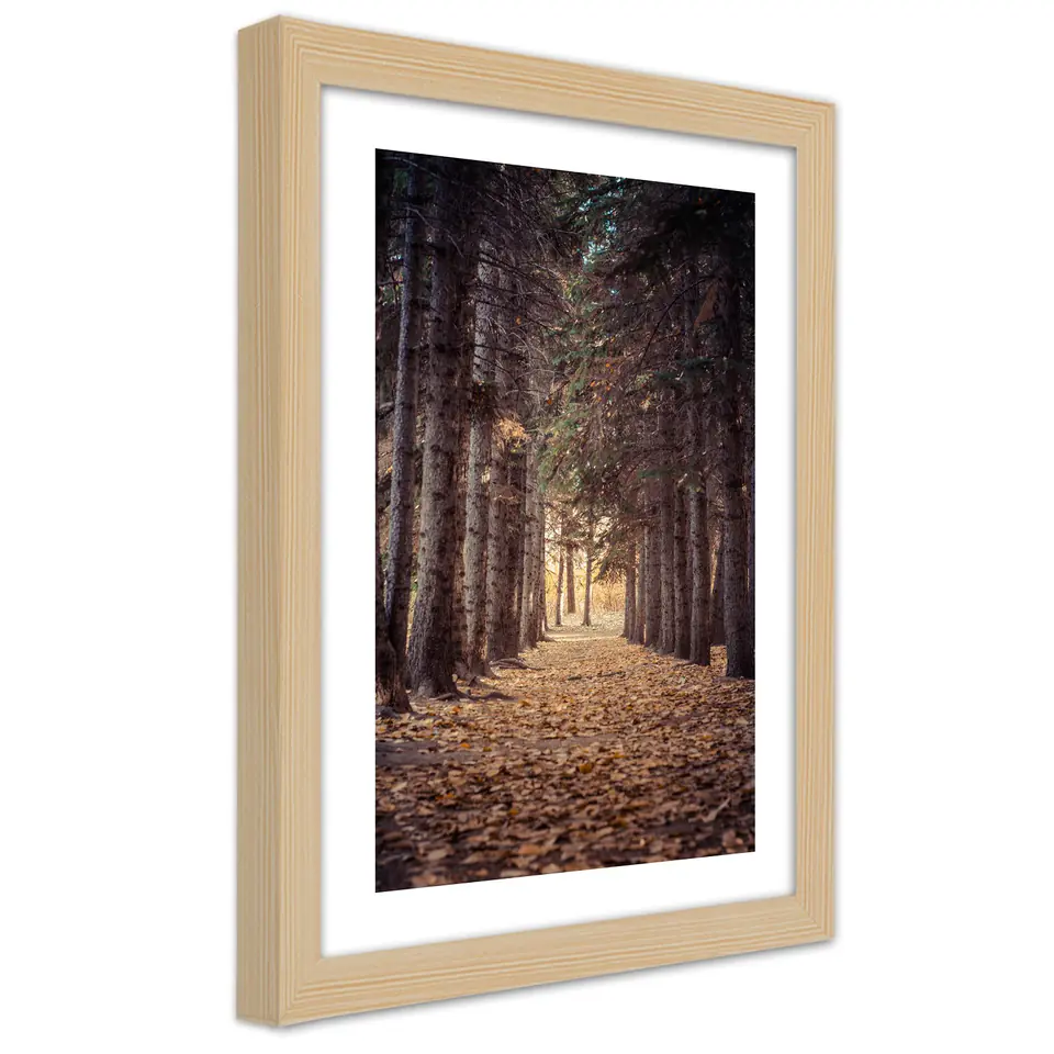 ⁨Obraz w ramie, Las jesienią (Rozmiar 20x30)⁩ w sklepie Wasserman.eu
