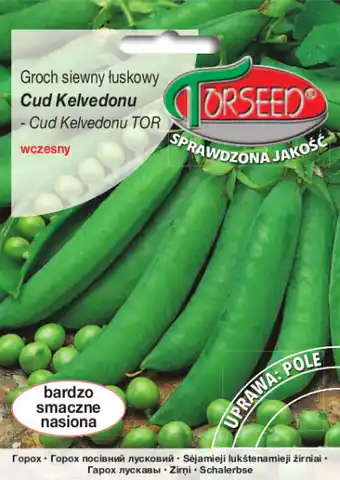⁨Nasiona Groch łuskowy Cud Kelvedonu Torseed 50g⁩ w sklepie Wasserman.eu