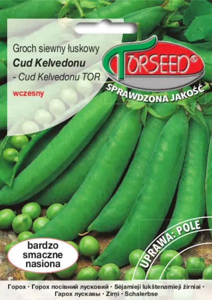 ⁨Seeds Husk peas Kelvedon miracle Torseed 50g⁩ at Wasserman.eu