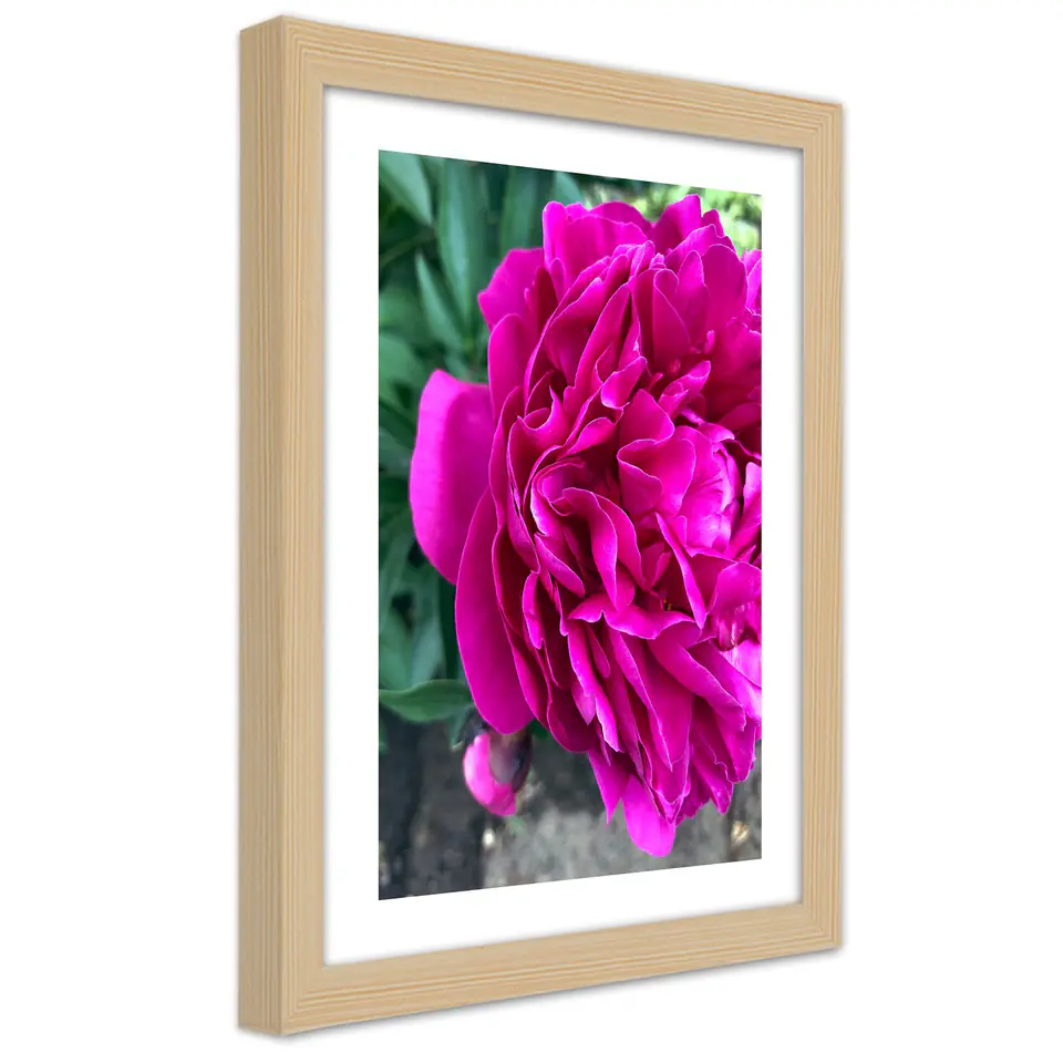 ⁨Natural Frame Poster, Pink Large Flower (Size 40x60)⁩ at Wasserman.eu