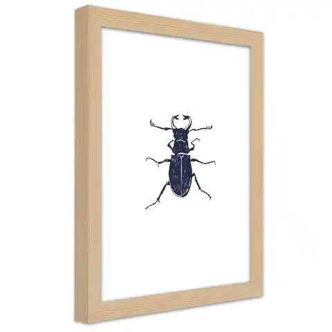 ⁨Natural Frame Poster, Black Beetle (Size 30x45)⁩ at Wasserman.eu
