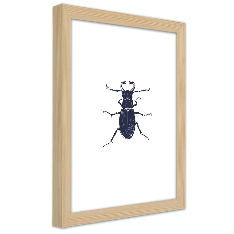 ⁨Natural Frame Poster, Black Beetle (Size 60x90)⁩ at Wasserman.eu