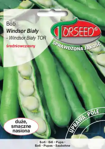 ⁨Nasiona Bób Windsor Biały Torseed 50g⁩ w sklepie Wasserman.eu