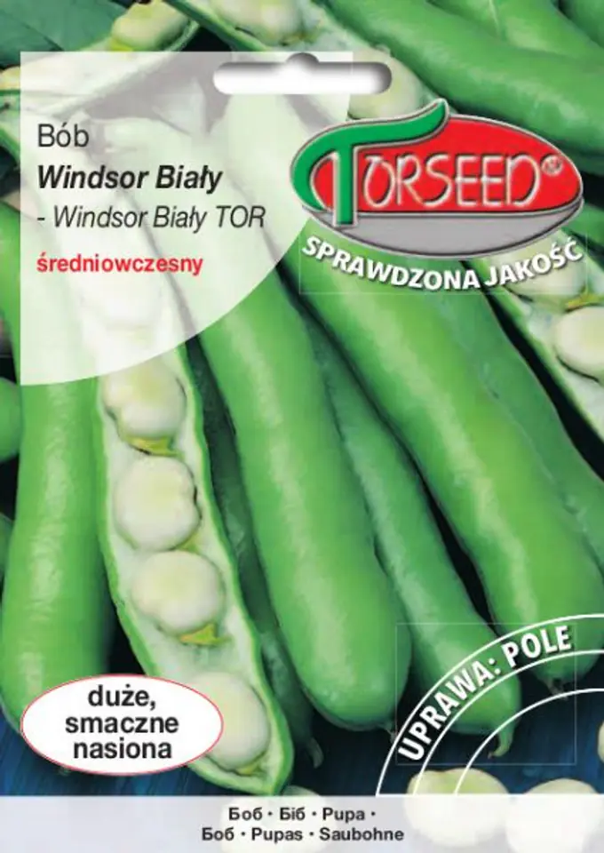 ⁨Seeds Bean Windsor White Torseed 50g⁩ at Wasserman.eu