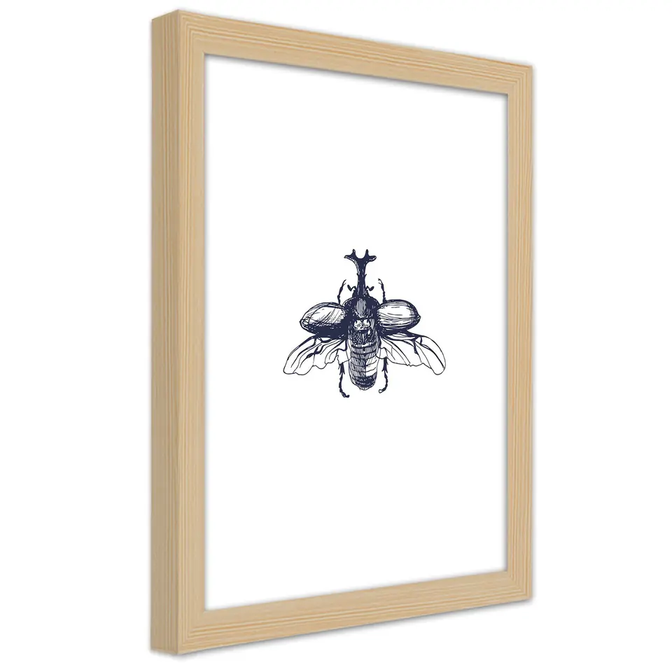 ⁨Natural Frame Poster, Flying Beetle (Size 20x30)⁩ at Wasserman.eu