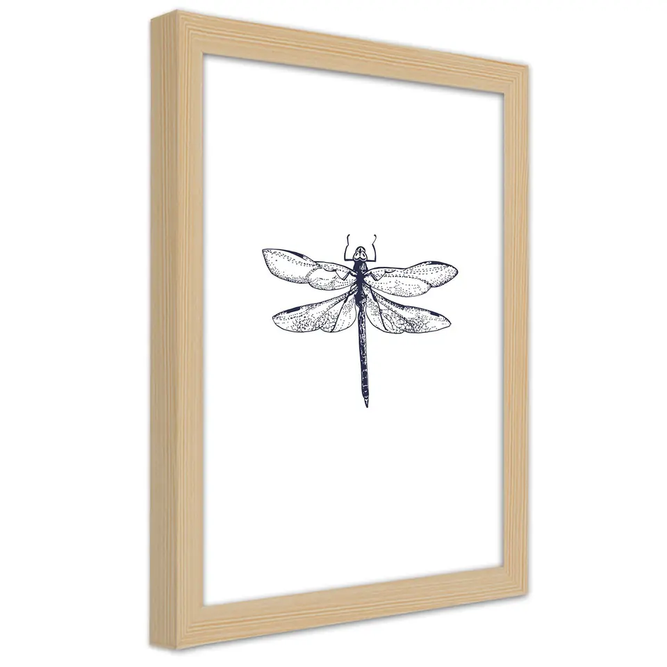 ⁨Natural frame poster, Dragonfly drawn (Size 30x45)⁩ at Wasserman.eu