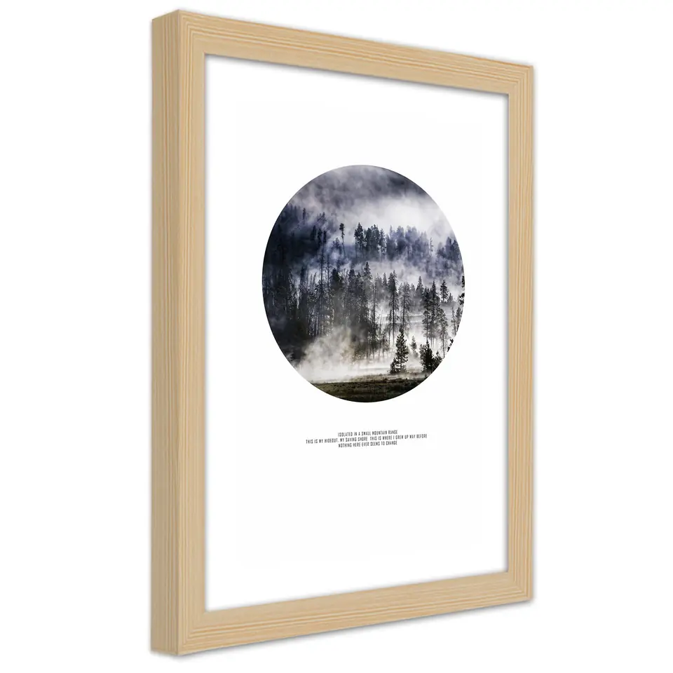 ⁨Natural frame poster, Forest in fog (Size 40x60)⁩ at Wasserman.eu