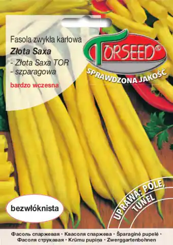 ⁨Nasiona Fasola szparagowa Złota Saxa Torseed 30g⁩ w sklepie Wasserman.eu