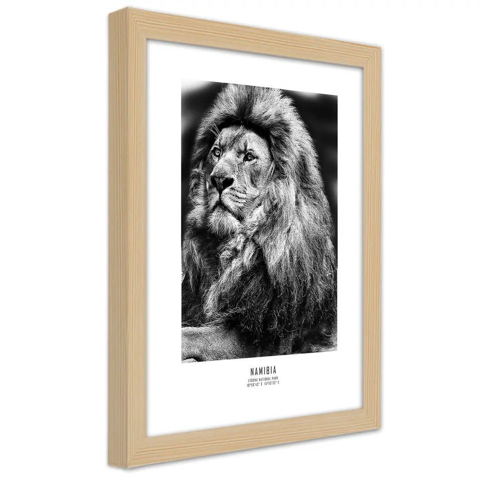 ⁨Natural Frame Poster, Symbol of Africa (Size 20x30)⁩ at Wasserman.eu