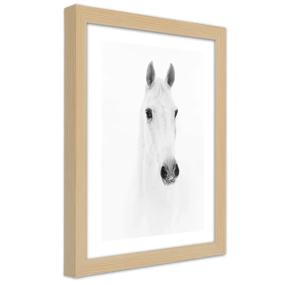 ⁨Natural frame poster, Grey horse (Size 70x100)⁩ at Wasserman.eu