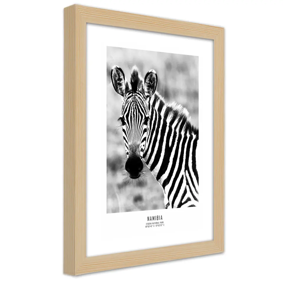 ⁨Natural frame poster, Curious zebra (Size 20x30)⁩ at Wasserman.eu