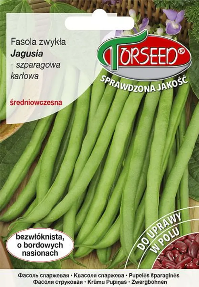 ⁨Seeds Green beans Jagusia Torseed 30g⁩ at Wasserman.eu