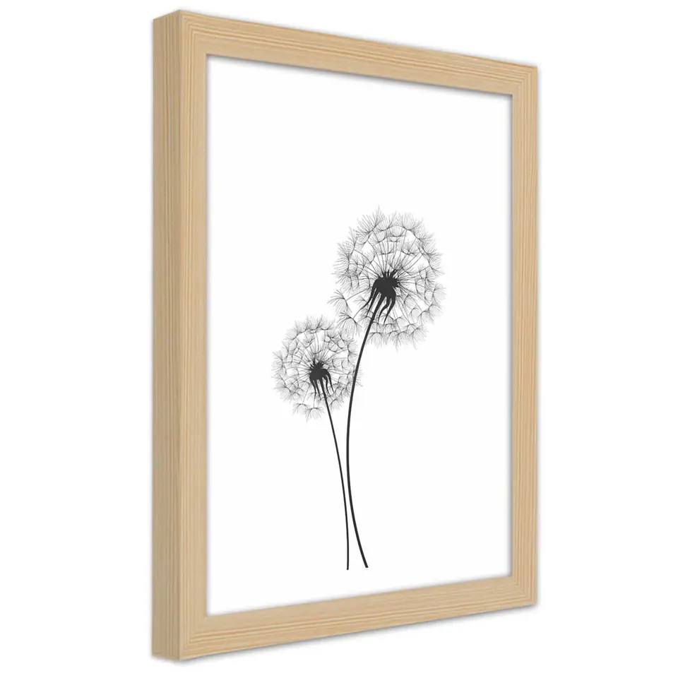 ⁨Natural Frame Poster, Two Dandelions Drawn (Size 60x90)⁩ at Wasserman.eu