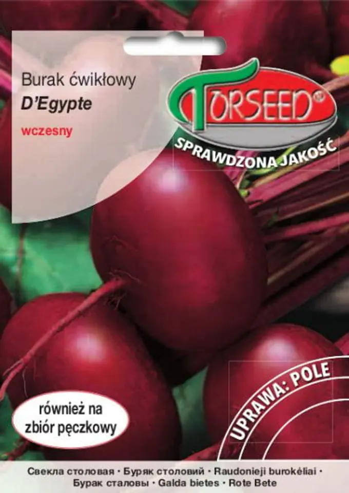 Beetroot seeds D'Egypte Torseed 15g at Wasserman.eu