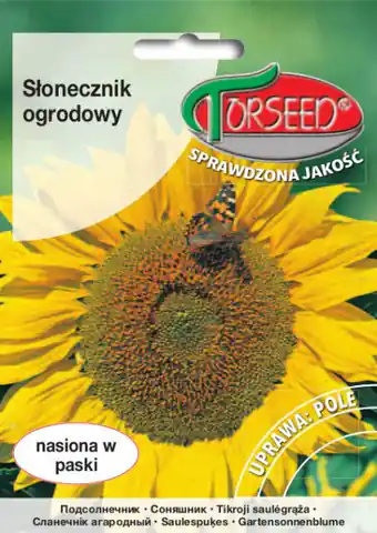⁨Nasiona Słonecznik ogrodowy Torseed 10g⁩ w sklepie Wasserman.eu