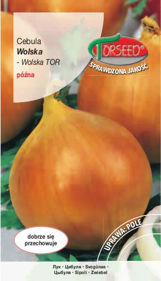 ⁨Onion seeds Wolska Torseed 5g⁩ at Wasserman.eu