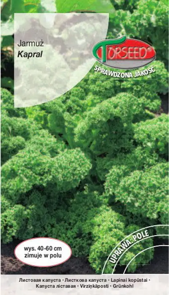 ⁨Kale seeds Corporal Torseed 1g⁩ at Wasserman.eu