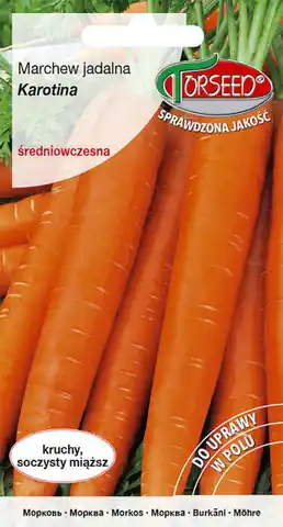 ⁨Carrot seeds Karotina Torseed 3g⁩ at Wasserman.eu