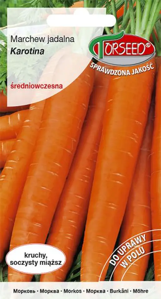 ⁨Carrot seeds Karotina Torseed 3g⁩ at Wasserman.eu