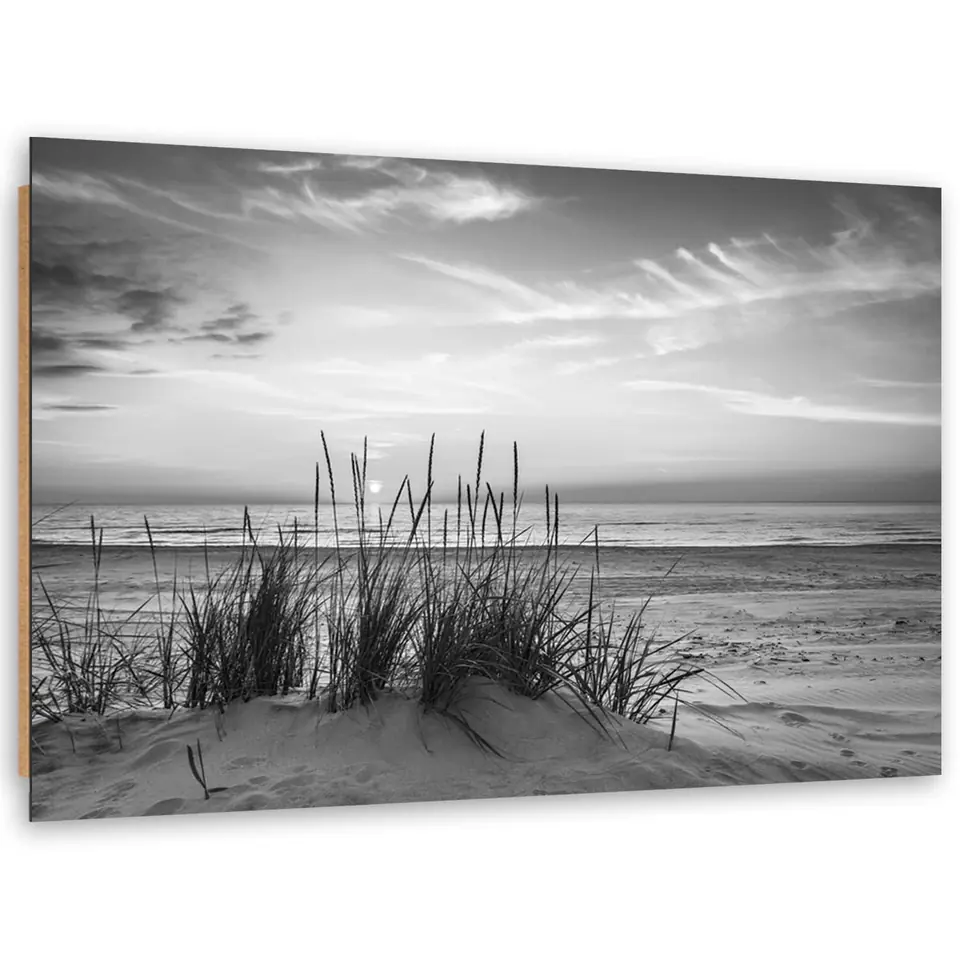⁨Image Deco Panel, Grasses on the beach - black and white (Size 120x80)⁩ at Wasserman.eu