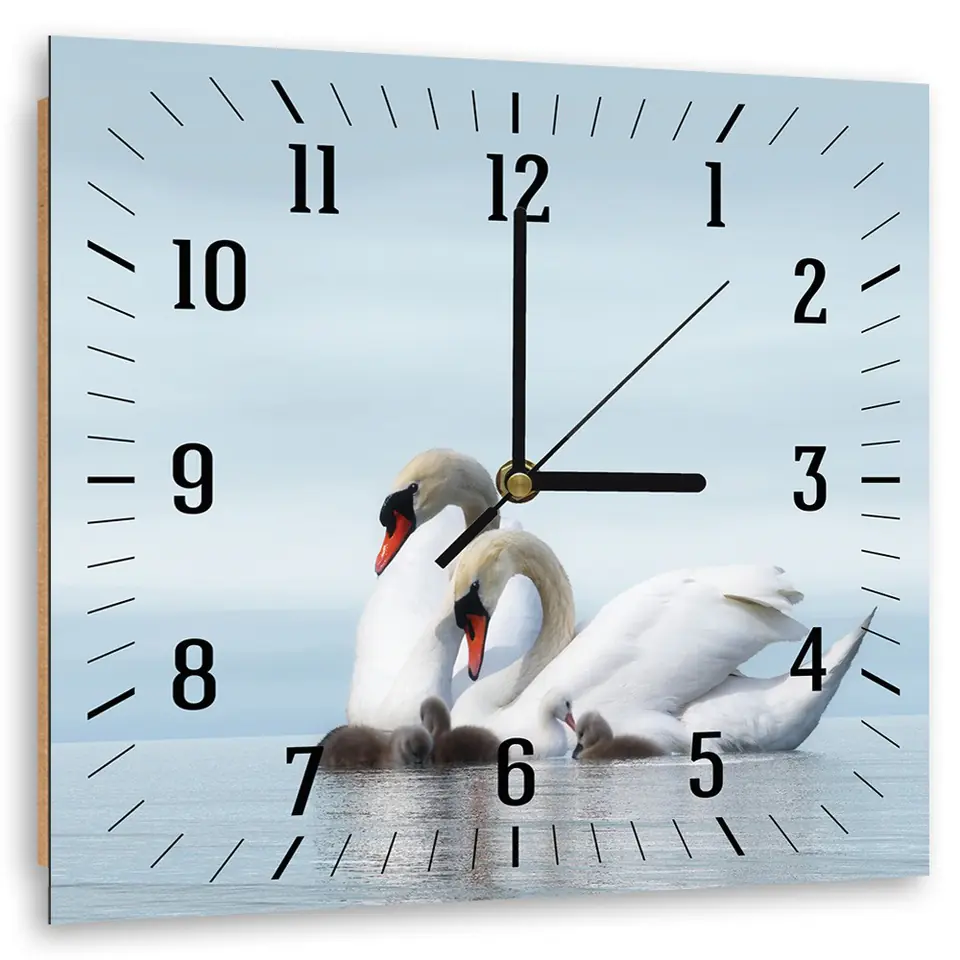 ⁨Picture with clock, Swan Family (Size 60x60)⁩ at Wasserman.eu