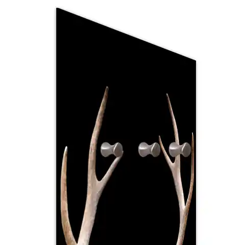 ⁨Hanger, Deer (Size 25x70)⁩ at Wasserman.eu