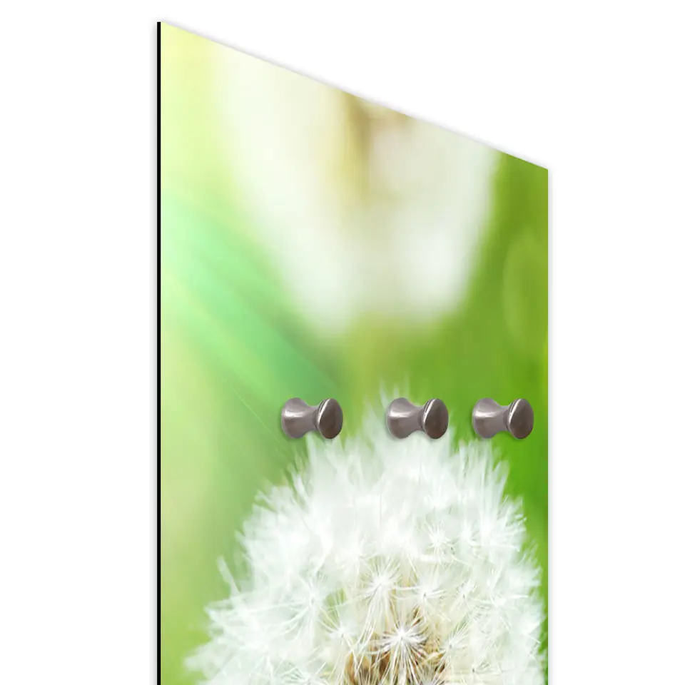 ⁨Hanger, Abstract dandelion (Size 30x90)⁩ at Wasserman.eu