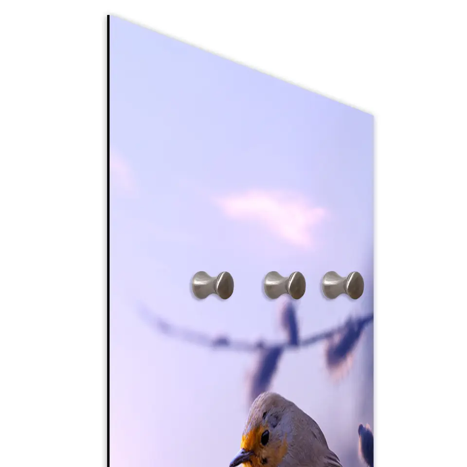 ⁨Hanger, Bird on a branch (Size 40x118)⁩ at Wasserman.eu