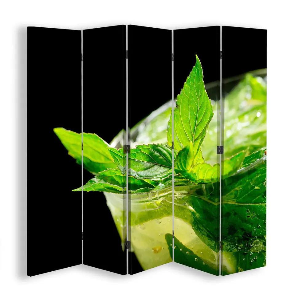 ⁨Double-sided screen, Refreshing mint (Size 180x170)⁩ at Wasserman.eu